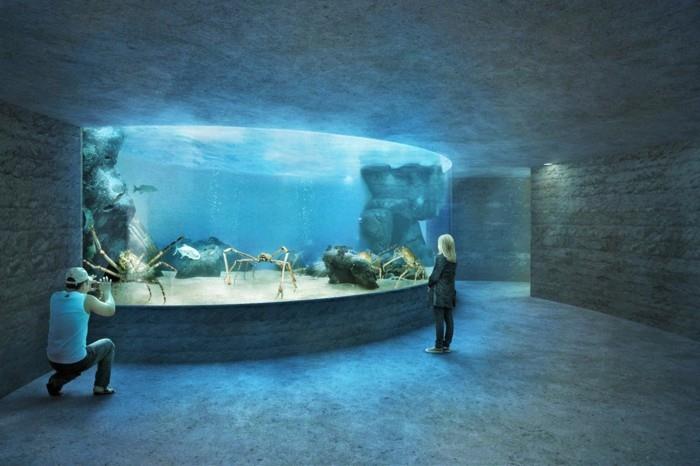 suunnittele maailmanmatka baselin eläintarha oceanium suuria rapuja
