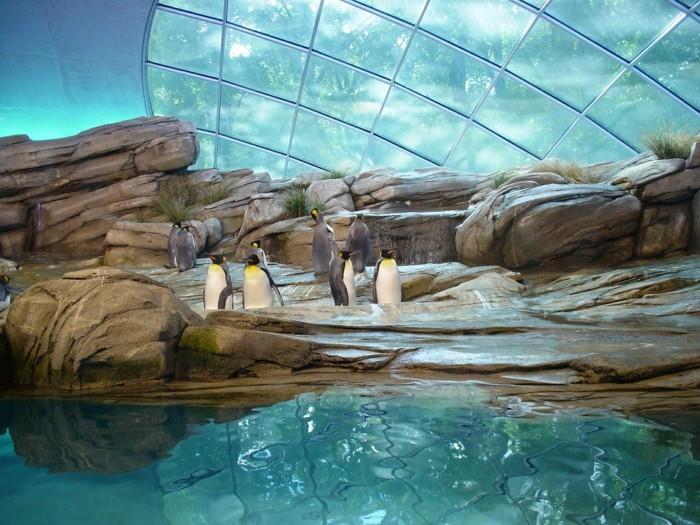 suunnitella maailmanmatka berliinin eläintarha pingviinit