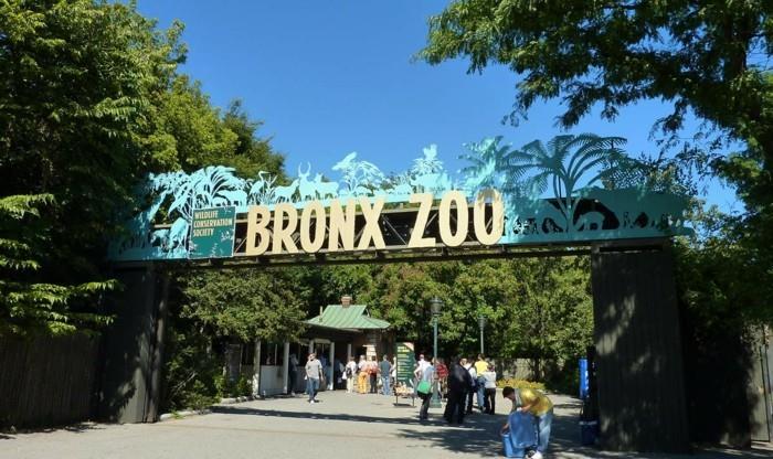 suunnittele maailmanmatka bronxin eläintarha yhdysvallat matkustaa Amerikkaan