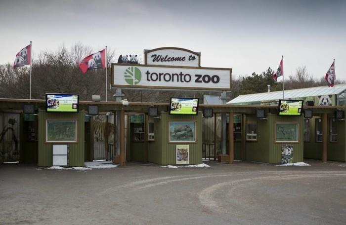 Suunnittele maailmanmatka Toronton Kanadan eläintarha