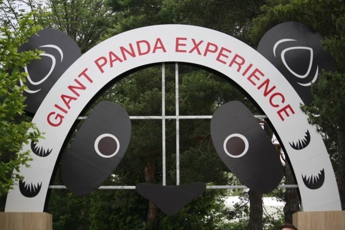 suunnitella maailmanmatka toronton eläintarha kanada panda