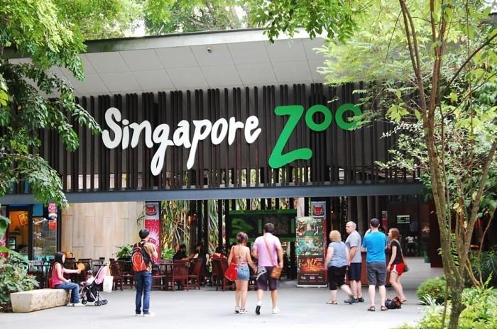 suunnitella maailmanmatka eläintarha singapore aasia matka