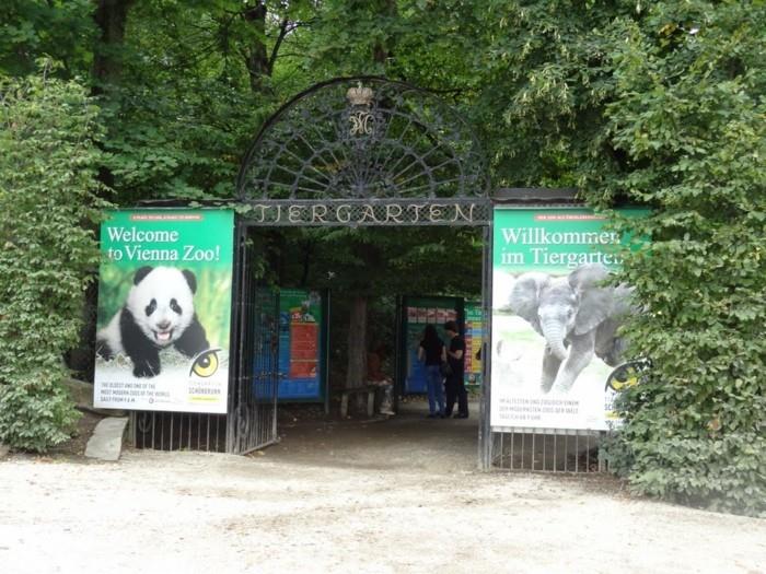 suunnitella maailmanmatka eläintarha wien tiergarten itävalta matka