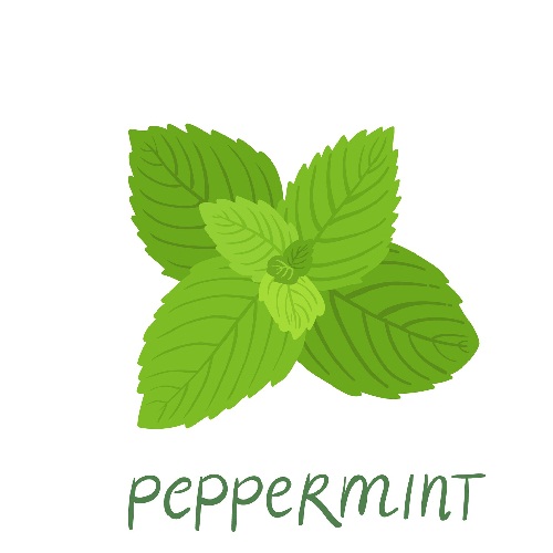 Borsmenta tea