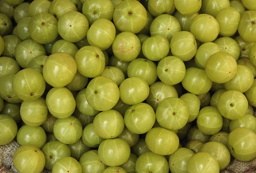 Fehér foltok és foltok a bőrön az Amla számára