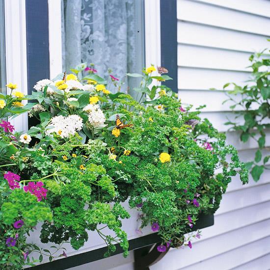 villi elinympäristö puutarhatalon kukkien laatikon ikkunassa