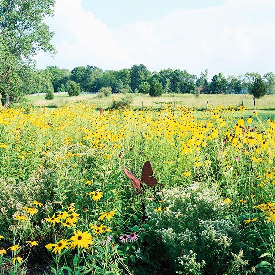 villi elinympäristö puutarhatalossa keltaisia ​​perhosia