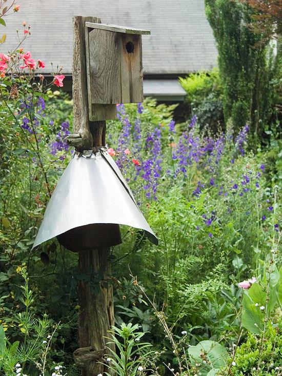 villi elinympäristö puutarhatalossa puuvarsi metalli