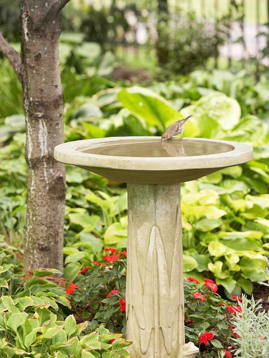 villi elinympäristö puutarhatalon lintuhauteessa