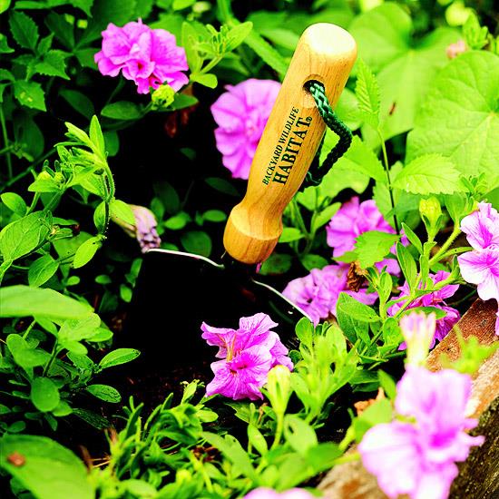 luonnonvarainen elinympäristö puutarhatalossa sertifioitu