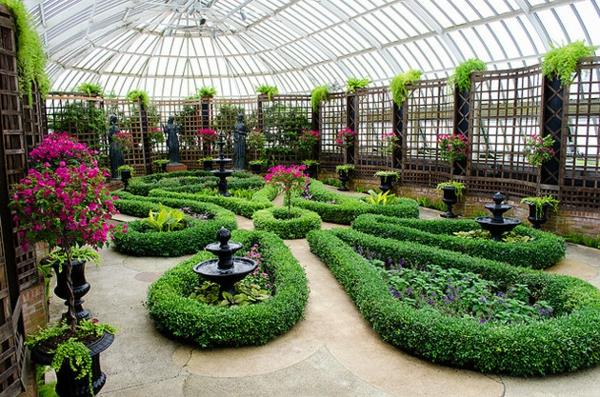 Tee talvipuutarha itse boxwood