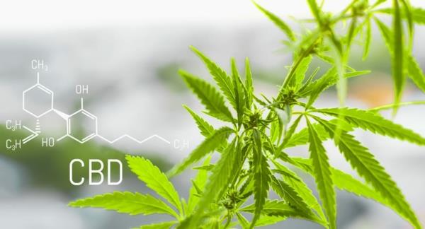 vaikutus hyödyttää kannabidiolia cbd