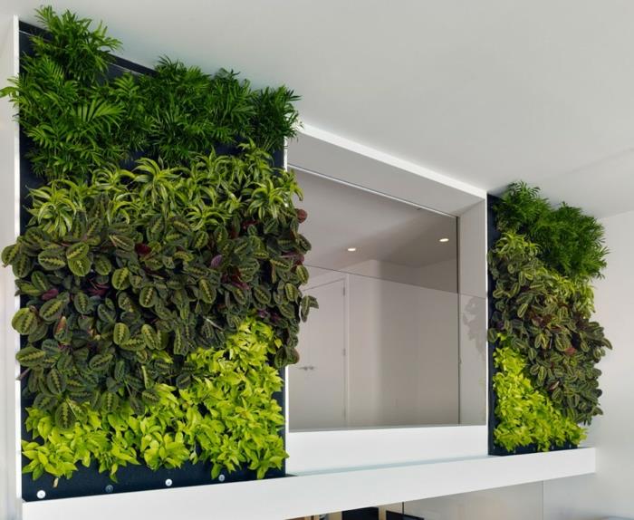 seinät muotoilevat tuoreita vihreitä kasveja symmetrisesti