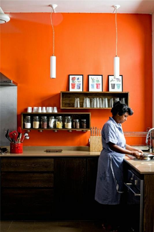 seinien maalausideoita oranssi keittiö avoimet hyllyt
