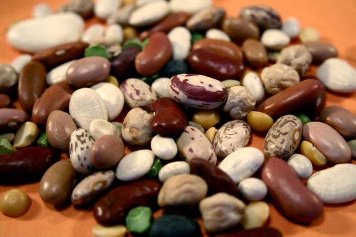 proteiinilähteet erilaiset terveys