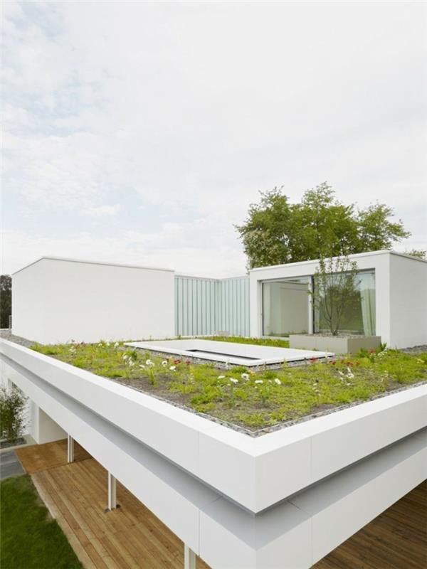 elävä moderni bungalow, jonka katolla on puutarha