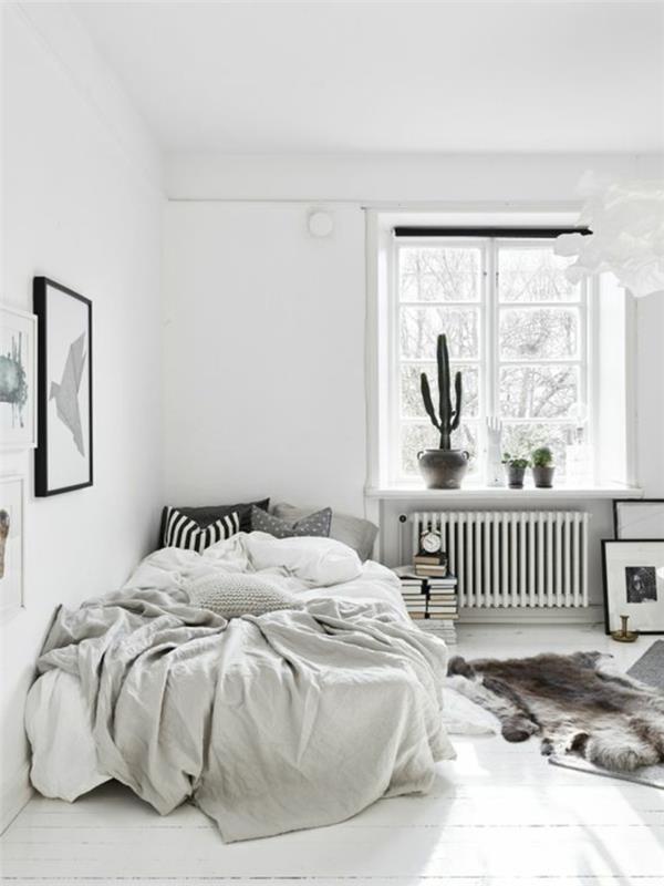 eläviä ideoita makuuhuone valkoiset seinät turkki matto kaktukset