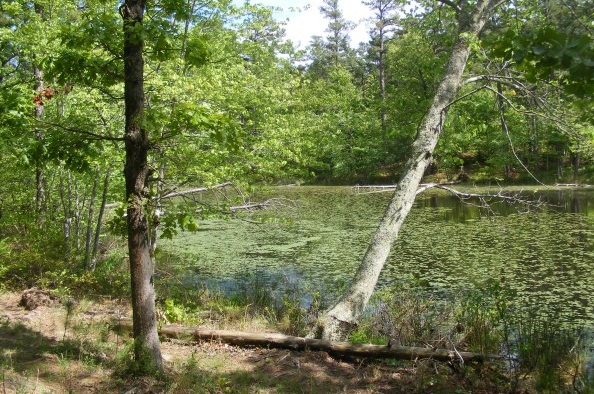 Wonders of Robbers Cave-Robber Caves Lake