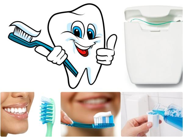harjaa hampaat oikein lääketieteellinen suu ja hammashoitovinkit