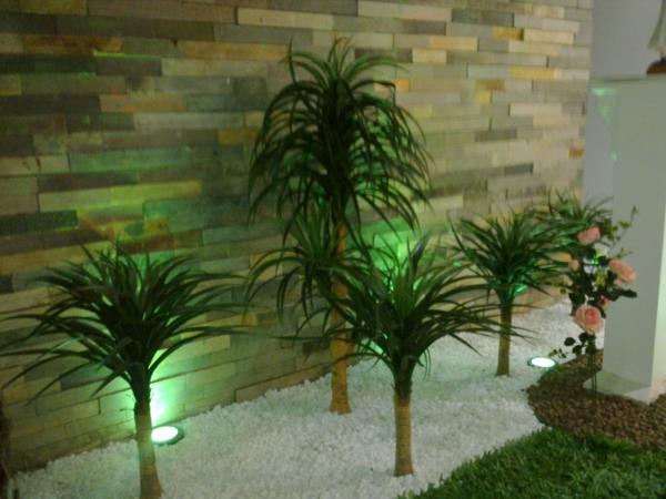 sisäkasvit kuvat sisäkämmenet palmut lajit ammergreen palms