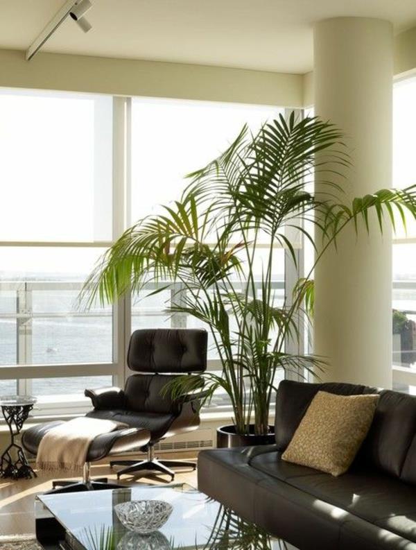 sisäkämmenet kuvat ruukkukasvit helppohoitoiset feng shui -kasvit