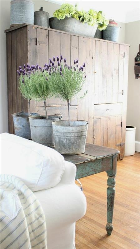 huonekasvit tyypit laventeli ruukkukasvit maalaistyyliset sisustusideat