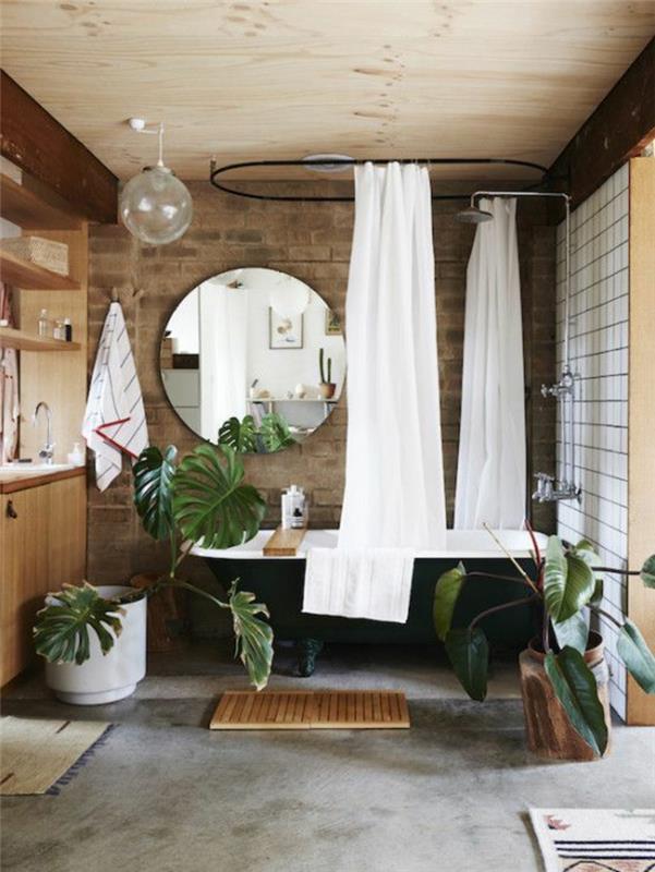 huonekasvit kylpyhuone koristekasvit kylpyhuoneen verho