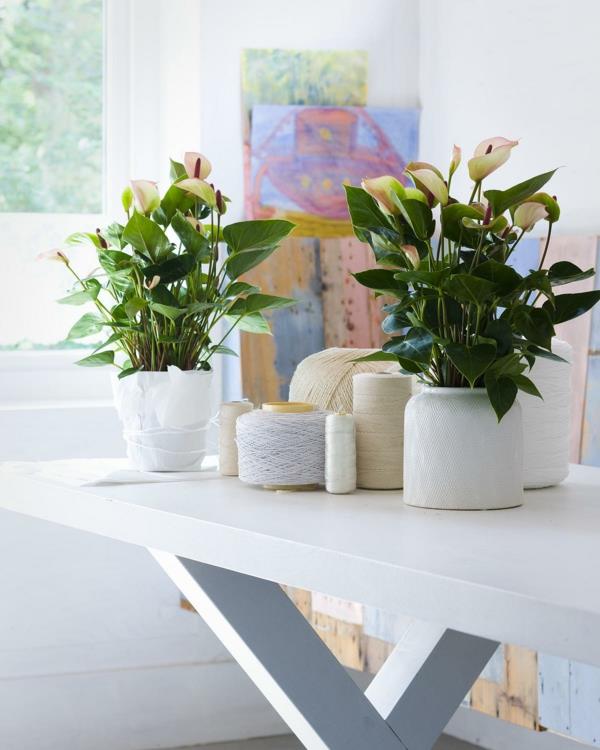 huonekasvit määrittävät vihreät lehdet valkoinen pöytä