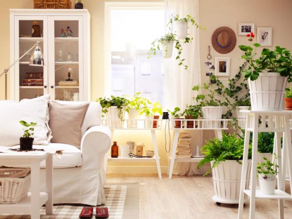 huonekasvit määrittävät olohuoneen koristamaan valkoisen sohvan