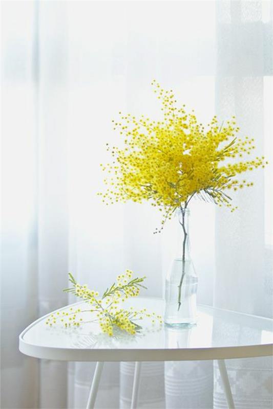 sisätilojen koristelu pöytäkoriste mimosa kukka maljakko