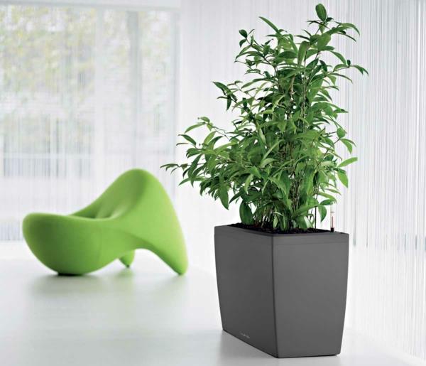 huonekasvit vihreä nojatuoli kauniita eläviä ideoita verhot