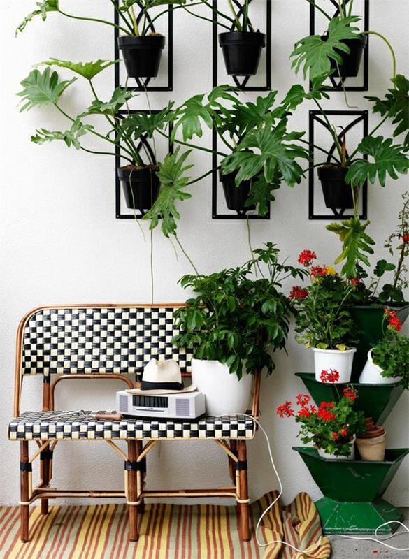 sisäkasvit helppohoitoinen luova seinäsuunnittelu sisätilojen vihreät kasvit
