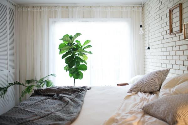 huonekasvit makuuhuone pitkät läpinäkyvät verhot