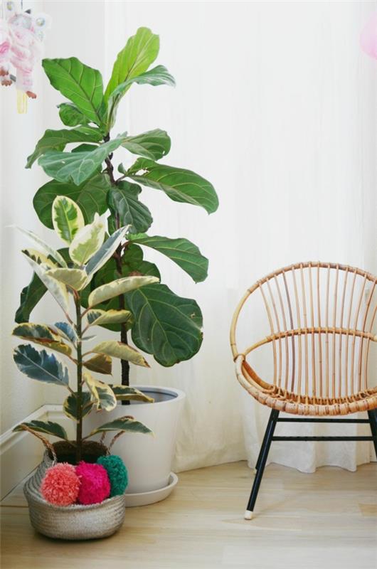 sisäkasvit nojatuolin rentoutumisalue kauniita eläviä ideoita