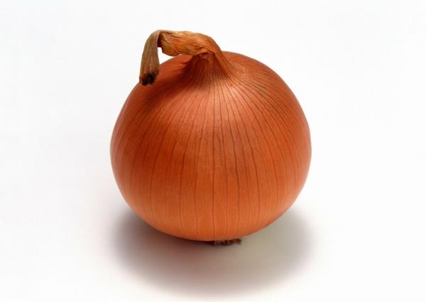 sipuli syö terveellistä ruokaa